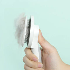 Brosse pour chat et chien